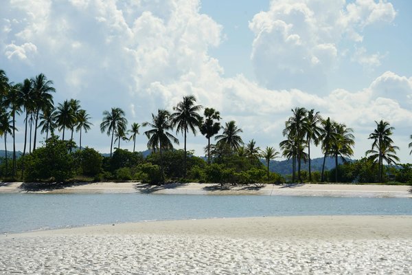 Explore the best uk campsites with convenient public transport links: your essential adventure guide